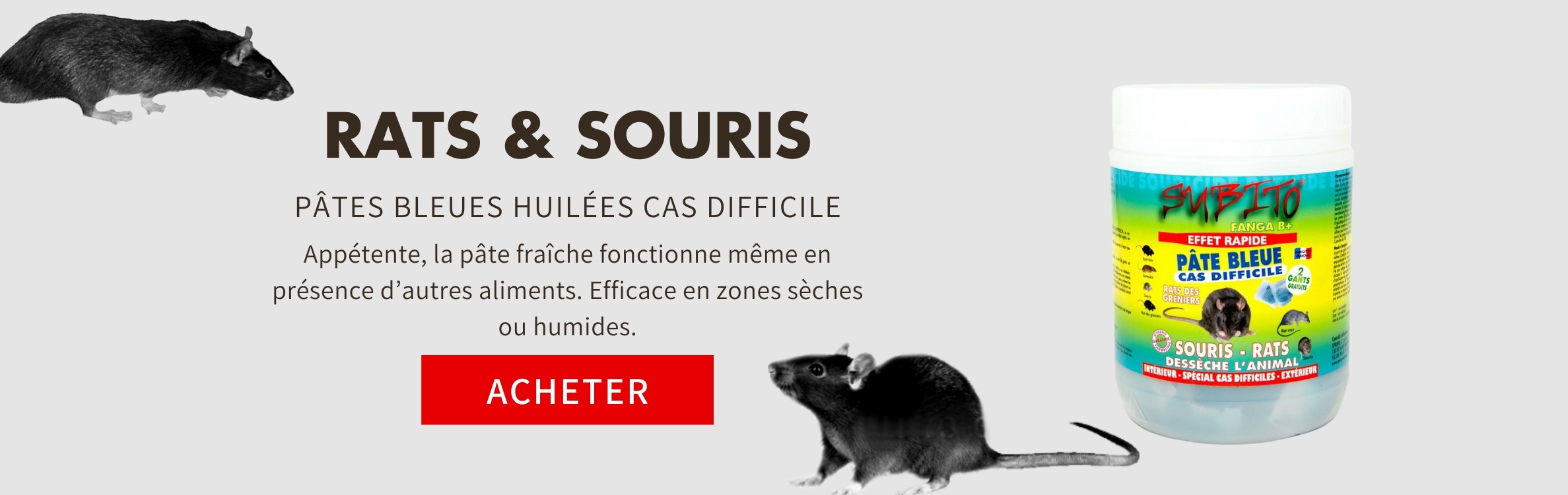 Pâte Bleue fraîche huilée anti-rat et anti-souris cas difficile 500 gr de Subito